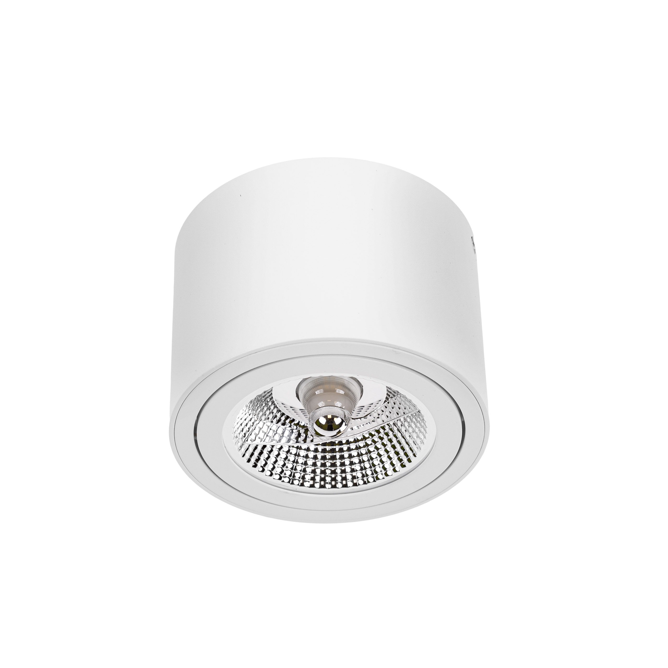 Přisazené svítidlo Chloe pro 1xGU10 AR111, výklopné, bílé