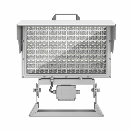 600w 1.png