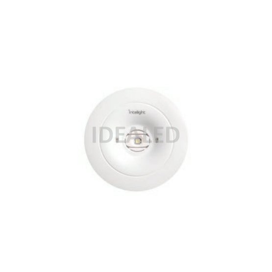 starlet-spot-round-white.jpg